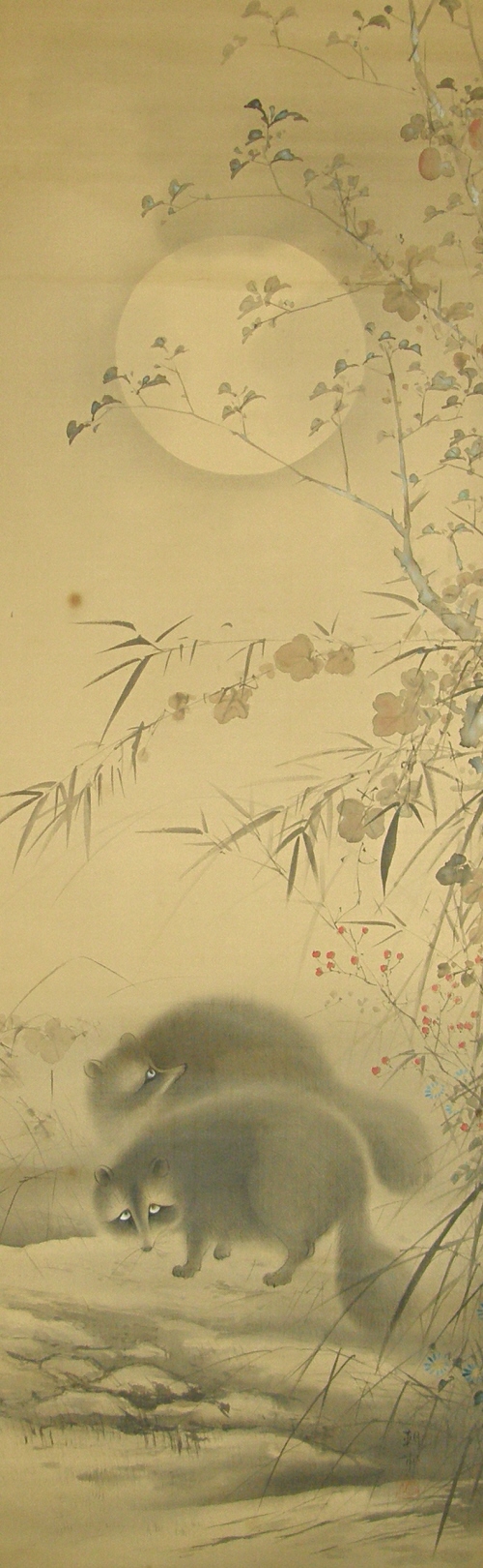 Japanese Raccoon Dogs under the Moon