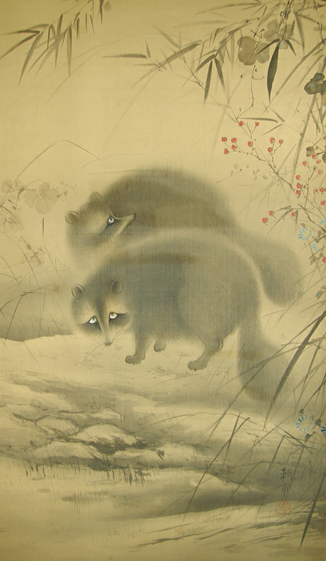Tanuki (Raccoon Dogs)