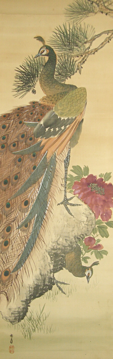 Matsu, Peacocks & Peony Flowers