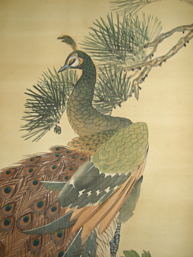 Matsu Tree, Kujaku (Peacock)