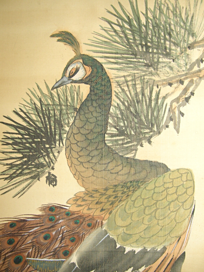 Kujaku Bird (Peacock)