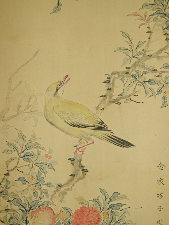 Bird Looking for Pomegranate Nuts