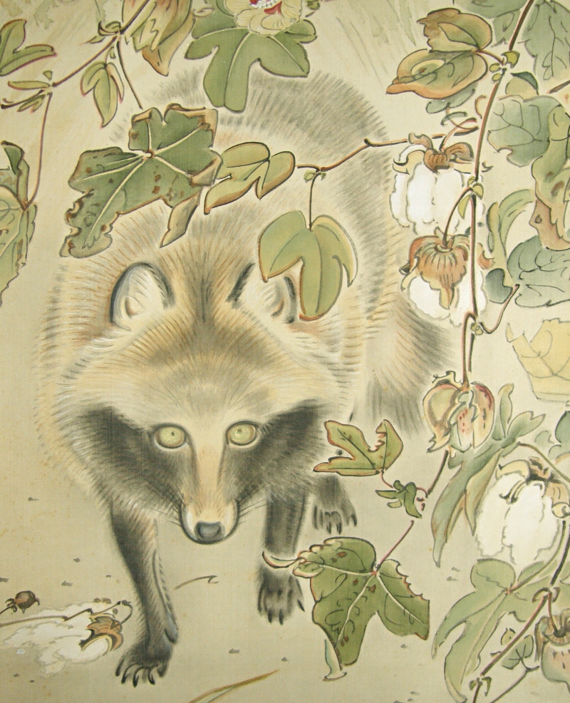 Tanuki (Japanese Raccoon Dog)