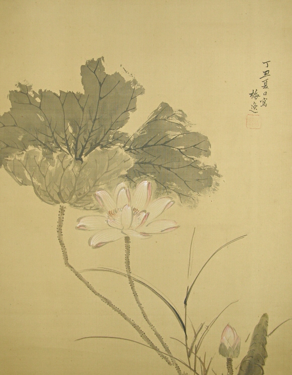 Hasu Flowers (Lotus Flowers)