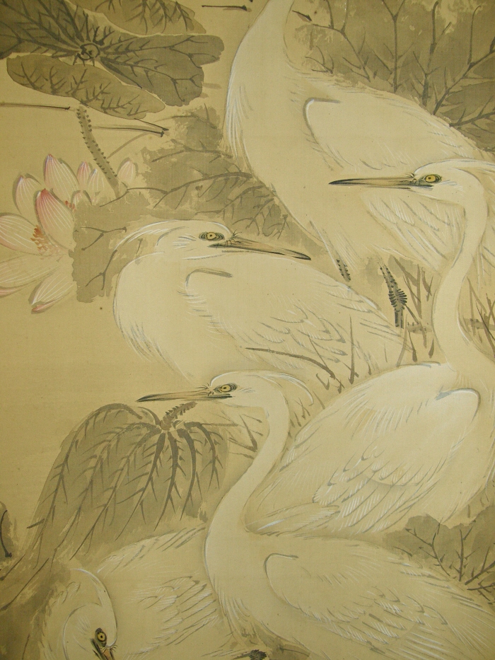 Sagi Birds (White Egrets)