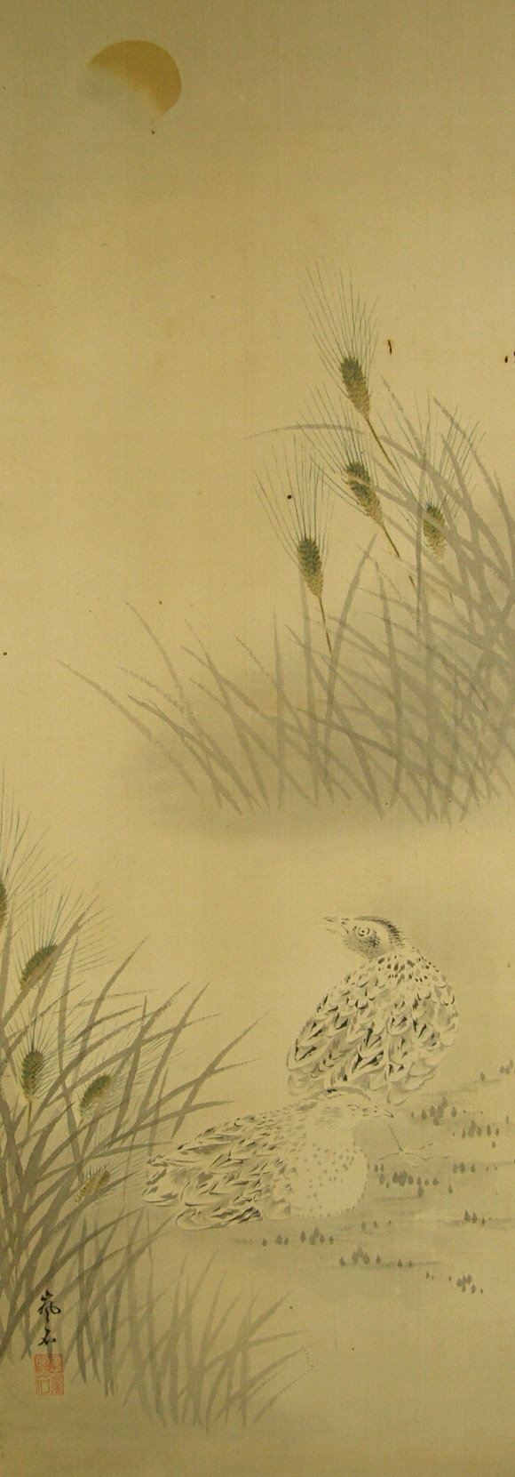 The sun, Barley and Quail