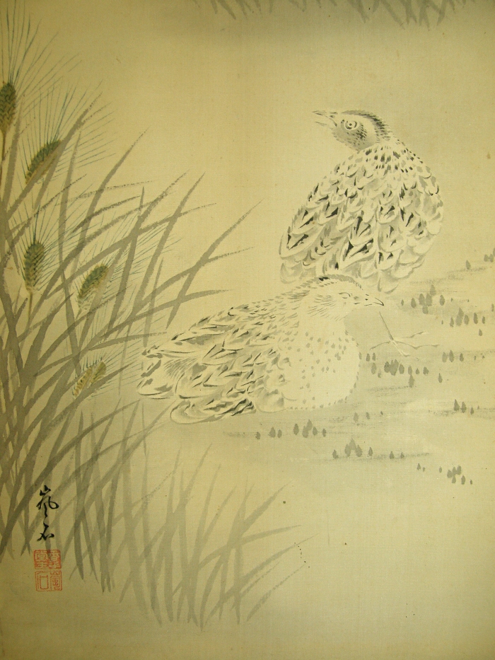 Barley and Japanese Quails