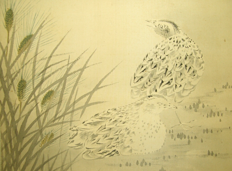 Uzura Birds (Quail)