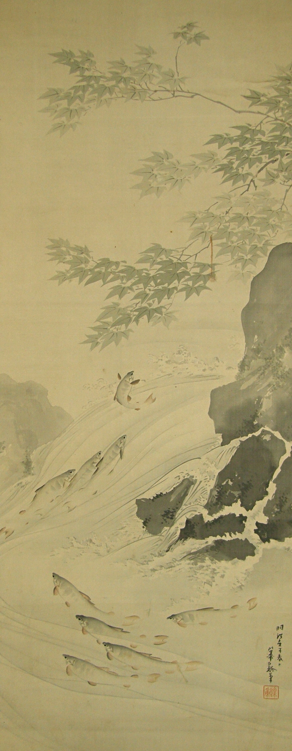 Japanese Maple & Sweetfish Jumping Up a Rapid Flow