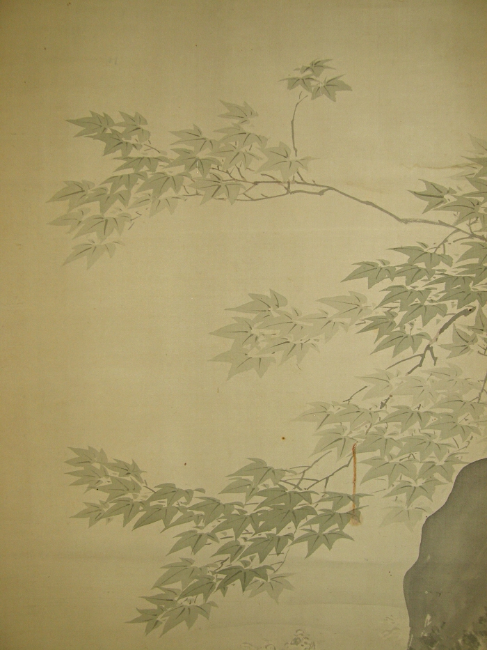 Kaede Leaf (Japanese Maple)