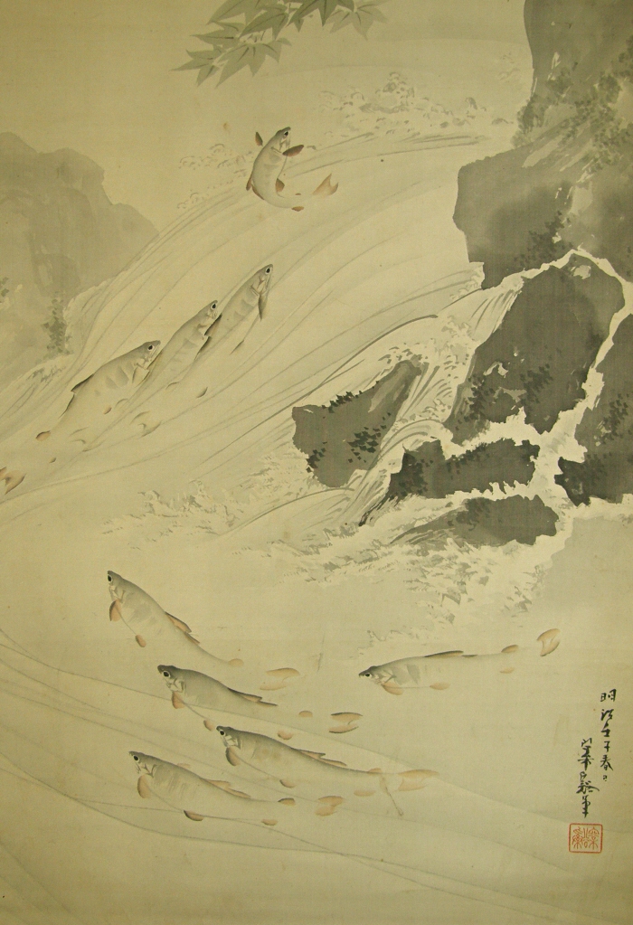 Japanese Sweetfish Jumping Up a Rapid Stream