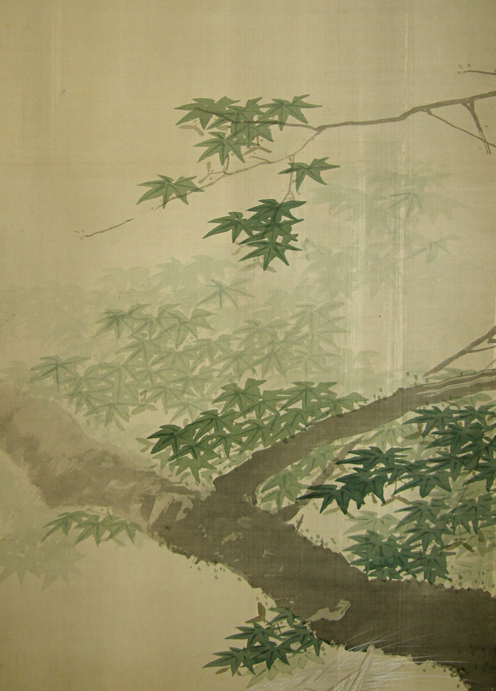 Kaede Leaf (Japanese Maple)