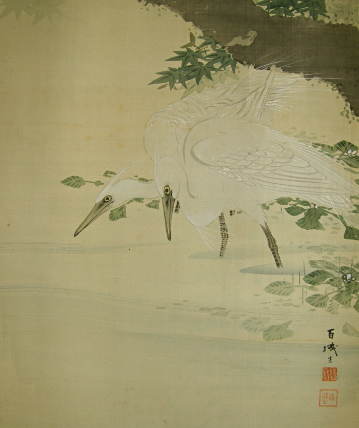 Shirasagi Birds (Japanese White Egrets)