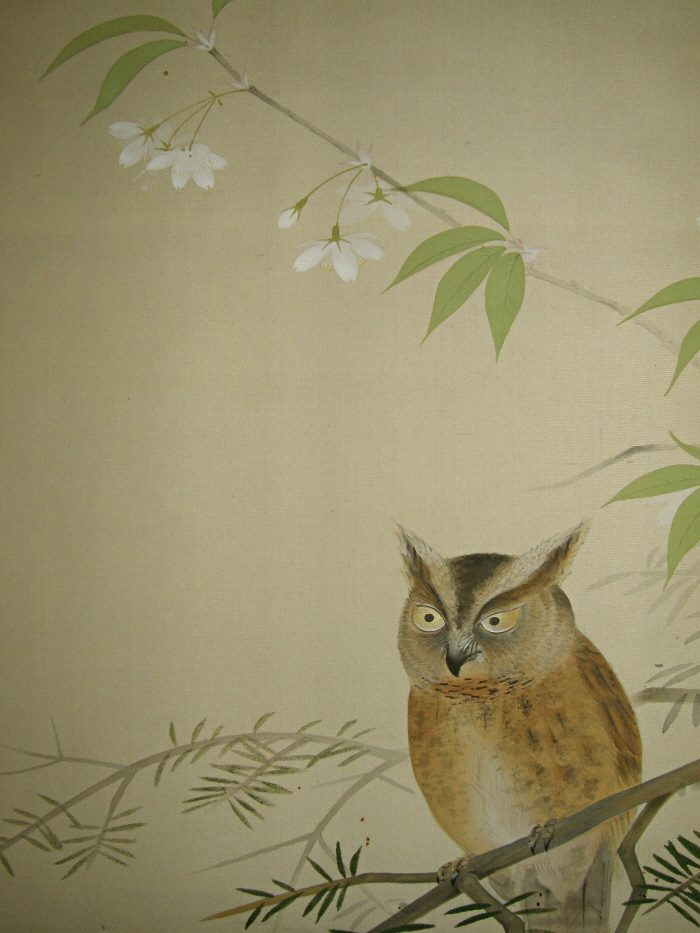 Fukurou Bird on a Branch