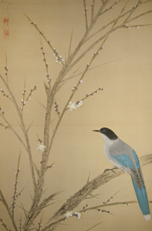 Onagadori Bird on Ume Tree Branch
