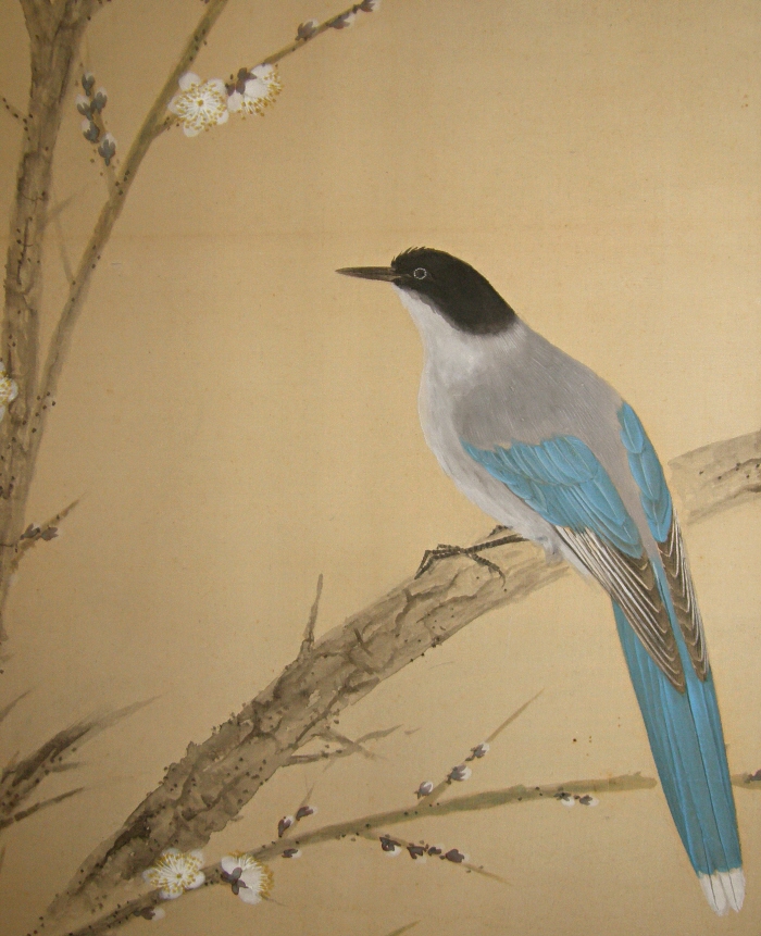 Long-Tailed Cock (Onagadori Bird)