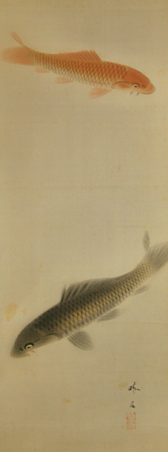 Swimming Koi Fish Couple