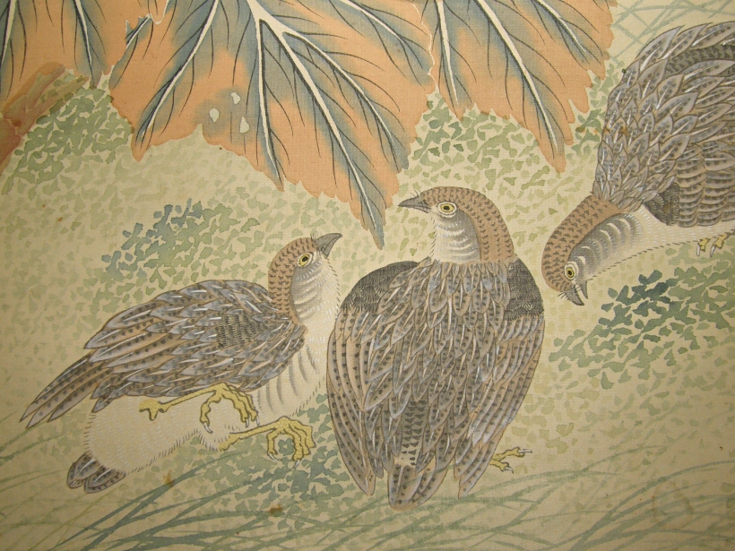 Uzura Birds (Japanese Quails)