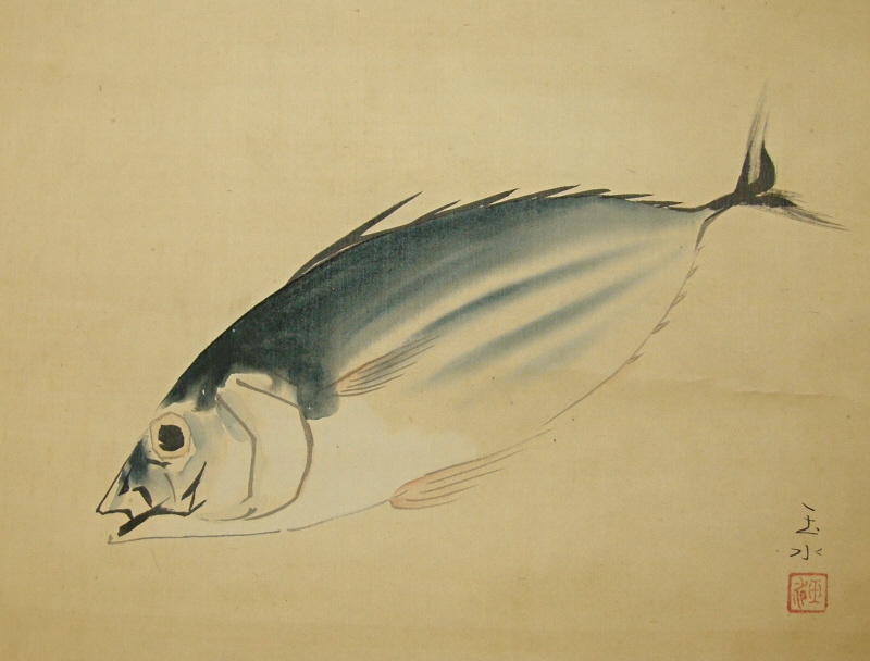 Japanese Bonito Fish