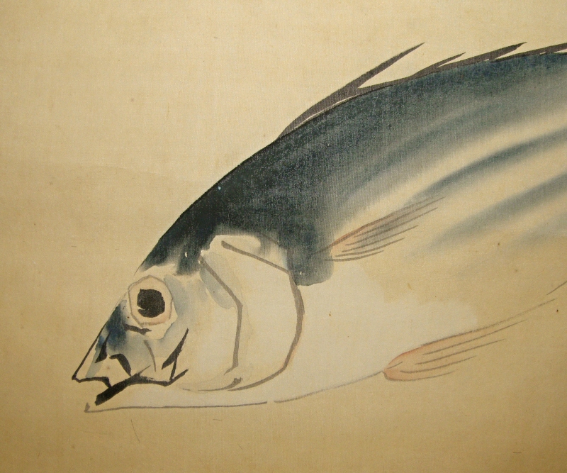 Katsuo Fish