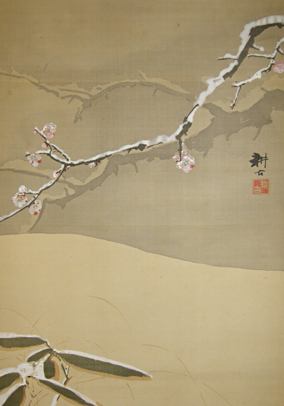 Ume Tree (Japanese Apricot)