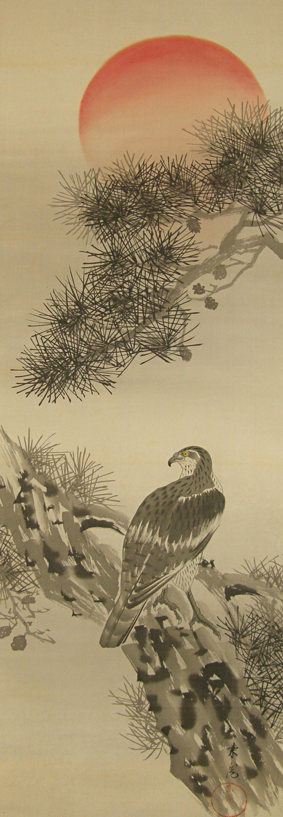 The Sun, Hawk Bird on Matsu Tree