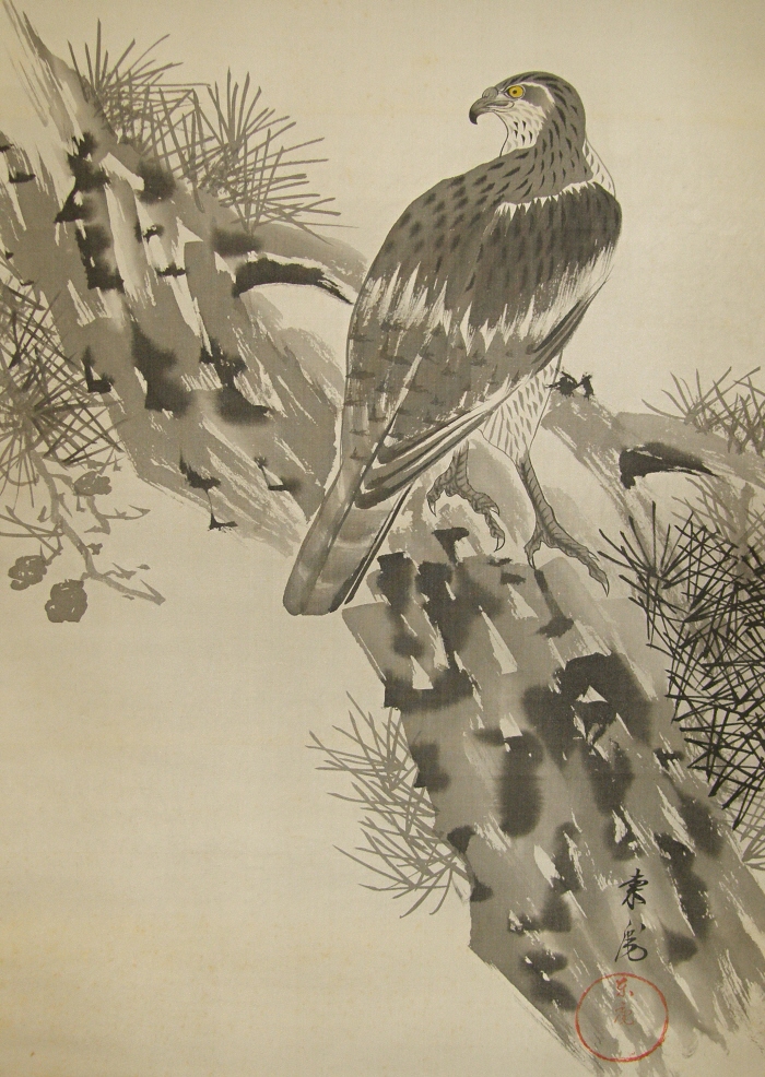 SS-50143 [ Hawk on Matsu Branch ] Japanese Old-Time Picture drawn in 1934