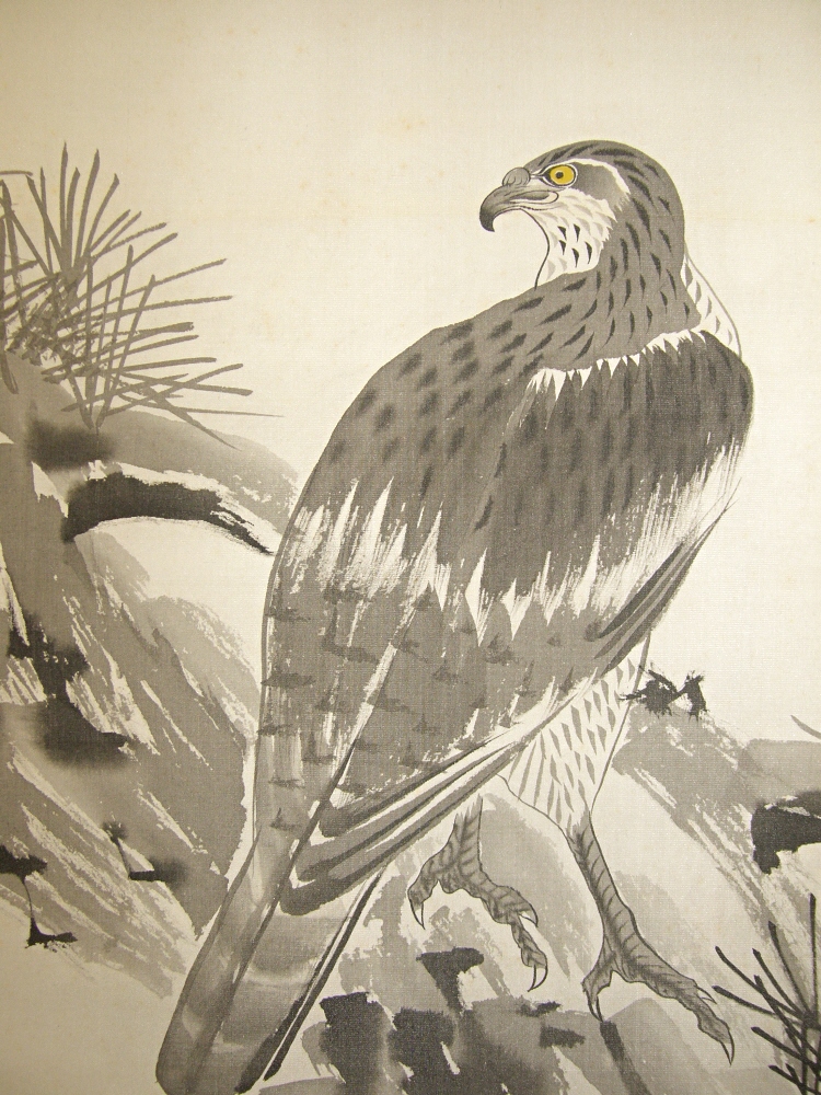 SS-50143 [ Hawk on Matsu Branch ] Japanese Old-Time Picture drawn in 1934