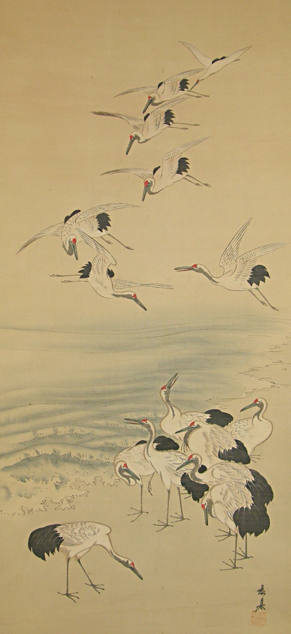 Flock of Japanese Cranes
