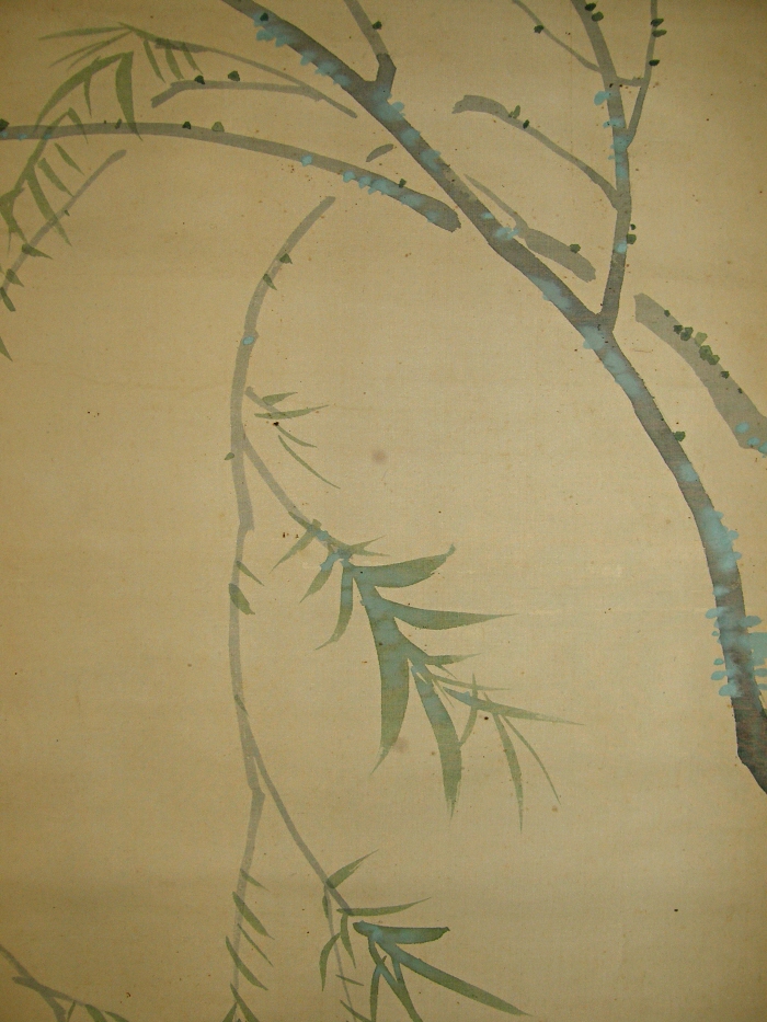 Yanagi Tree (Japanese Willow)