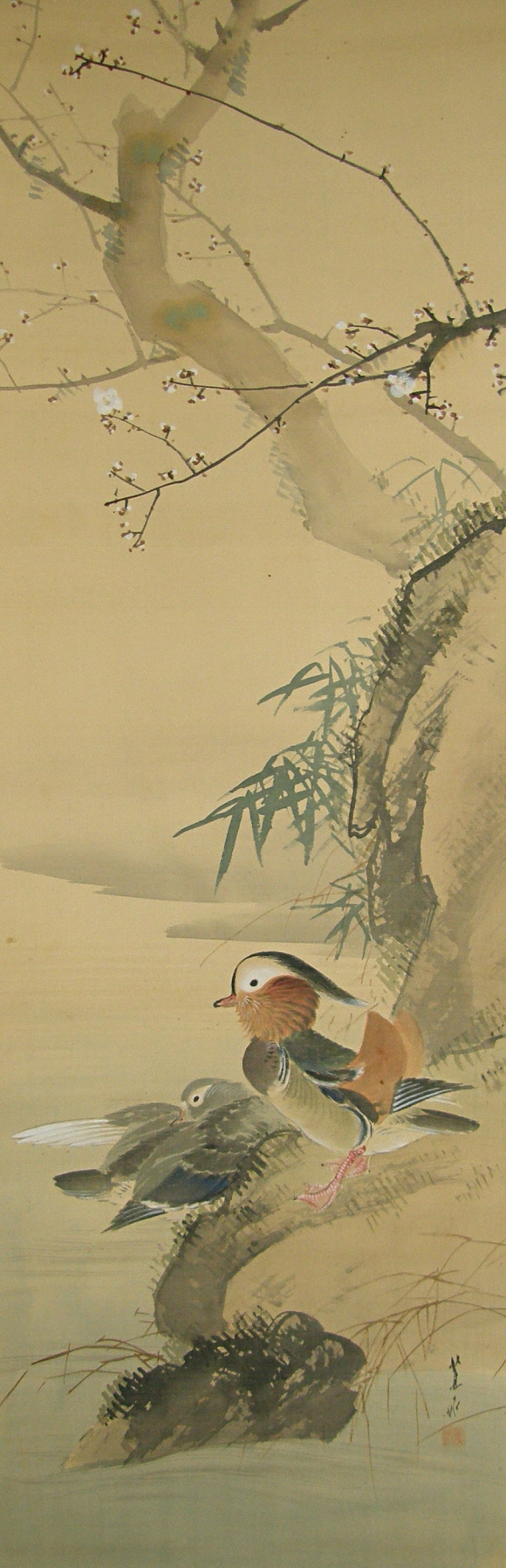 White Ume Flowers & Japanese Mandarin Bird Couple