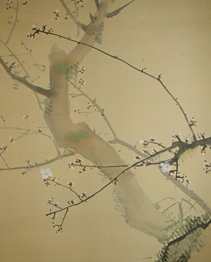 Ume Tree (Japanese Apricot)