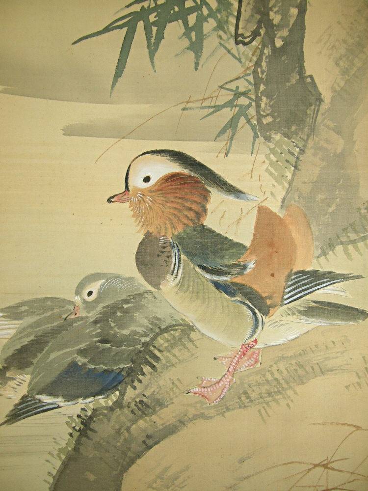 Oshidori Couple (Japanese Mandarin Duck)