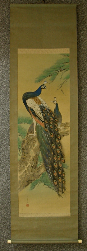 [ Peacocks ]