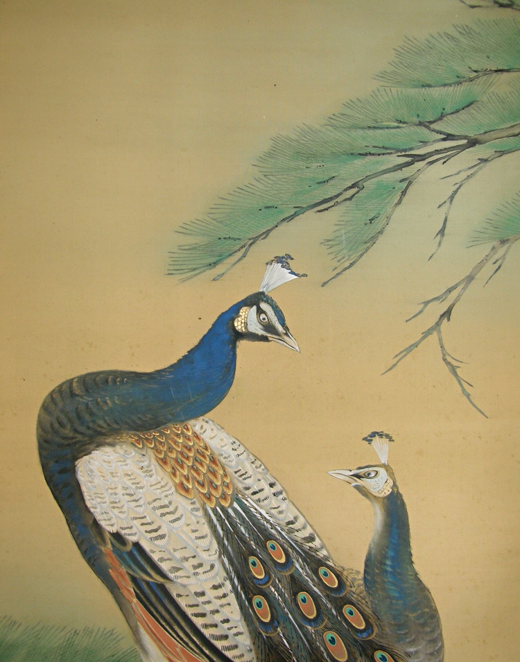 Japanese Peacock and Peahen (Kujaku)