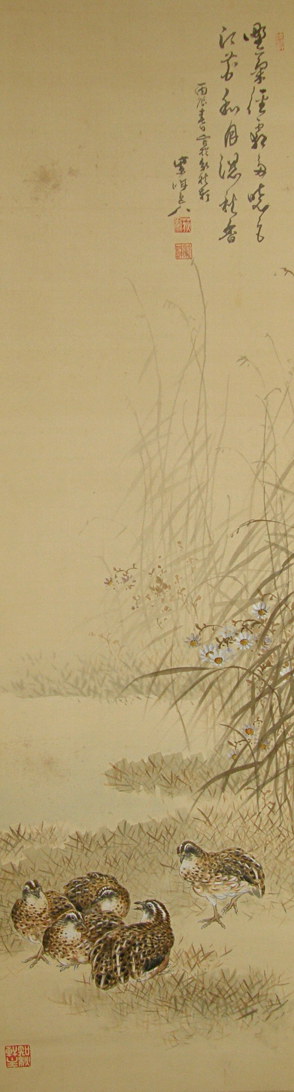 Uzura Birds & Autumn Grass