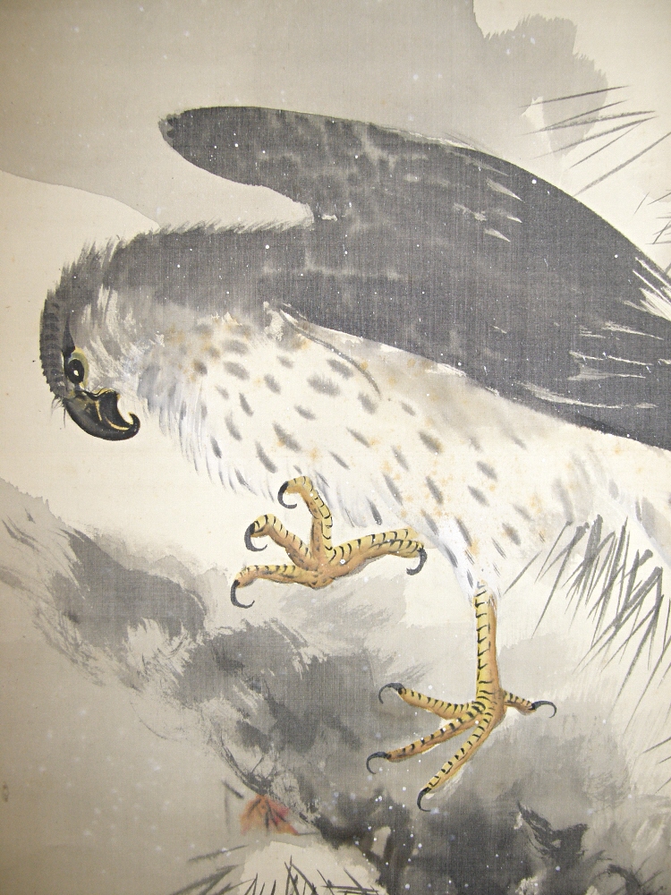 Taka Bird on a Shaft of Japanese Pine Tree