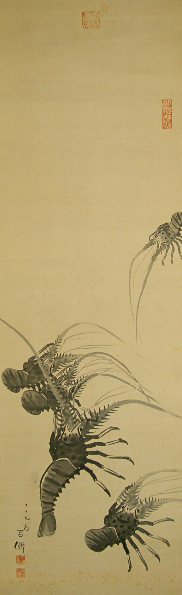 Ise-Ebi Shrimps