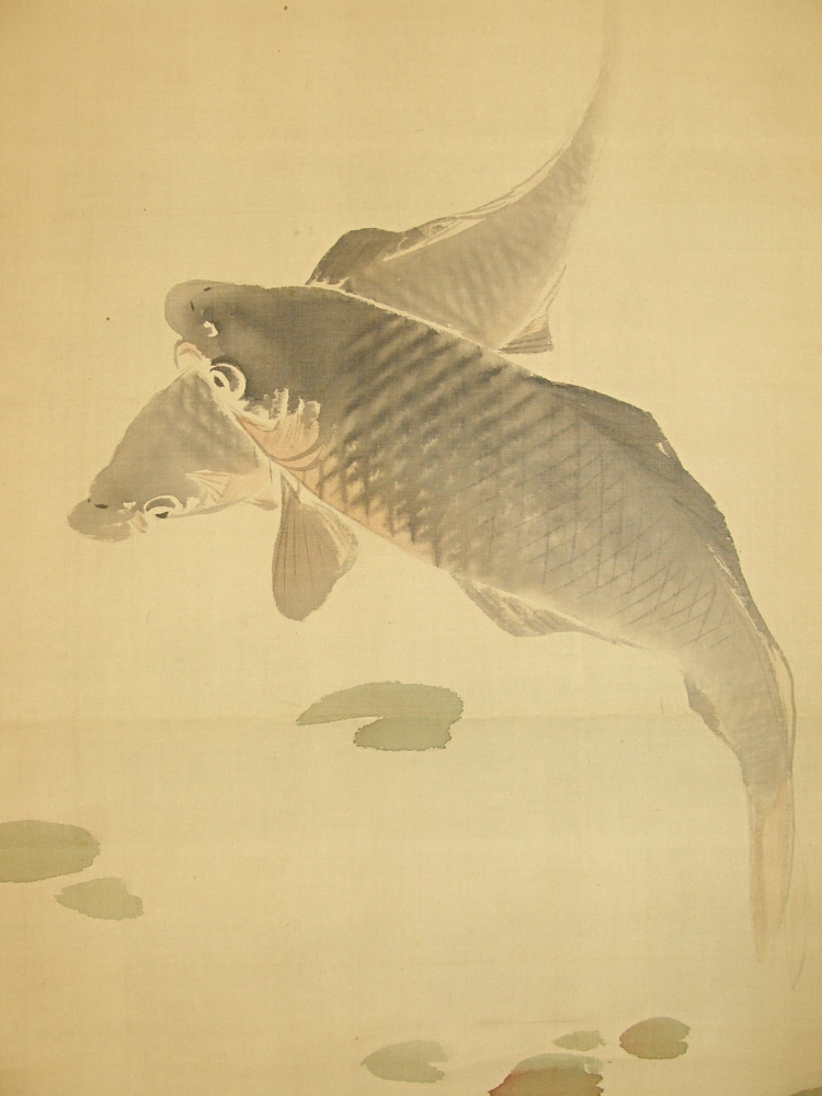 Japanese Carp (Koi Fish)