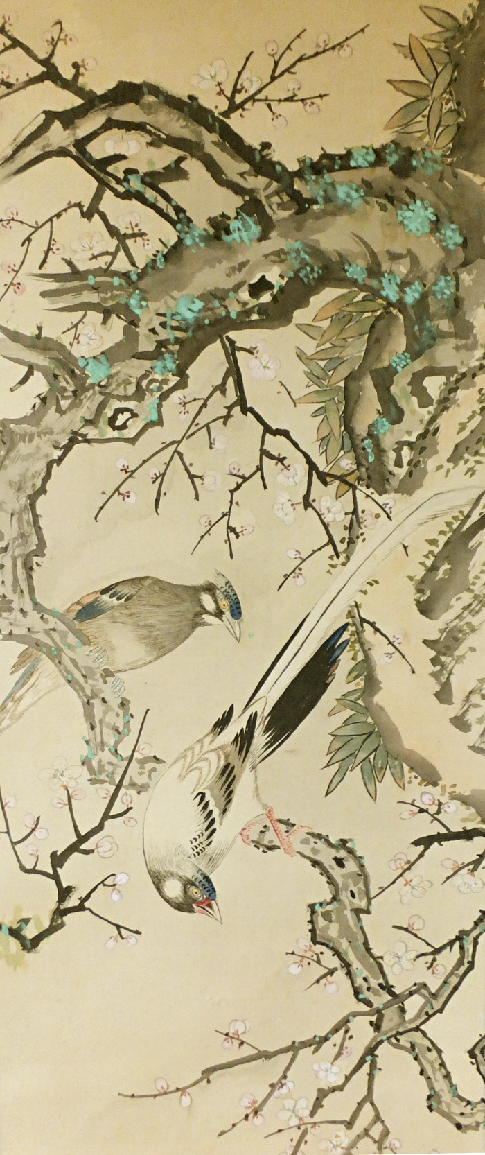 White Ume Flowers (Japanee Plum) & Onagadori Birds