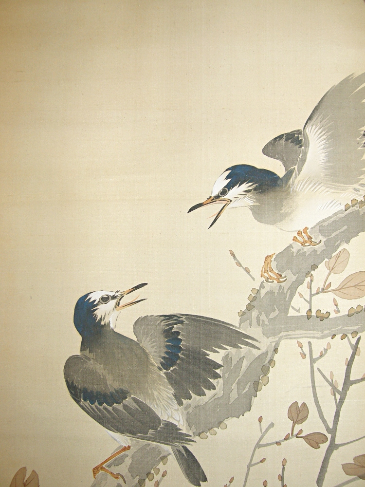 SS-50172 [ Jay Birds ] Japanese Vintage Kakemono Fine Art for Sale