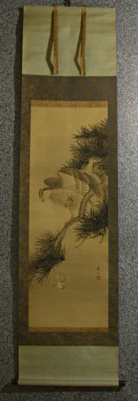 [ Hawk Targeting Sparrow ]