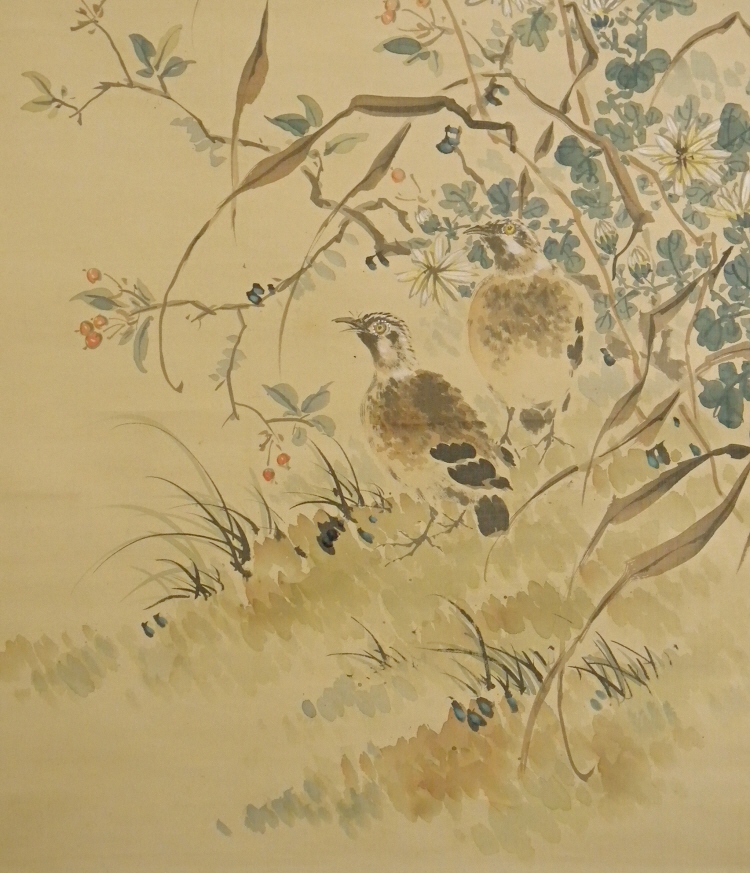 Kiku Flowers & Birds