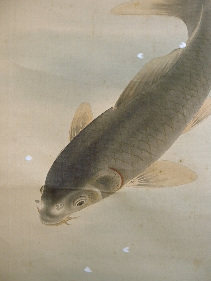 Japanese Carp (Lucky Fish)