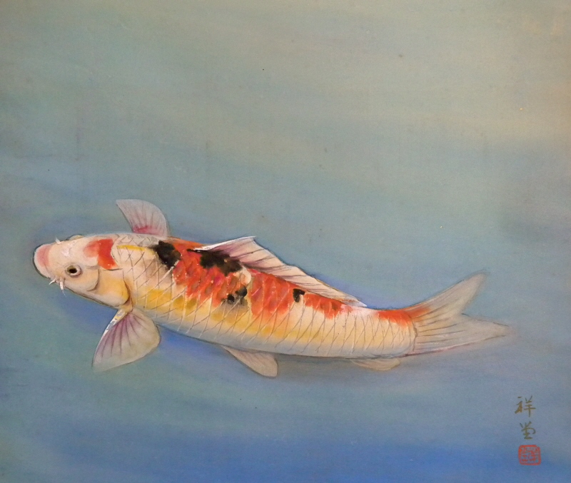 Japanese Carp (Koi Fish)