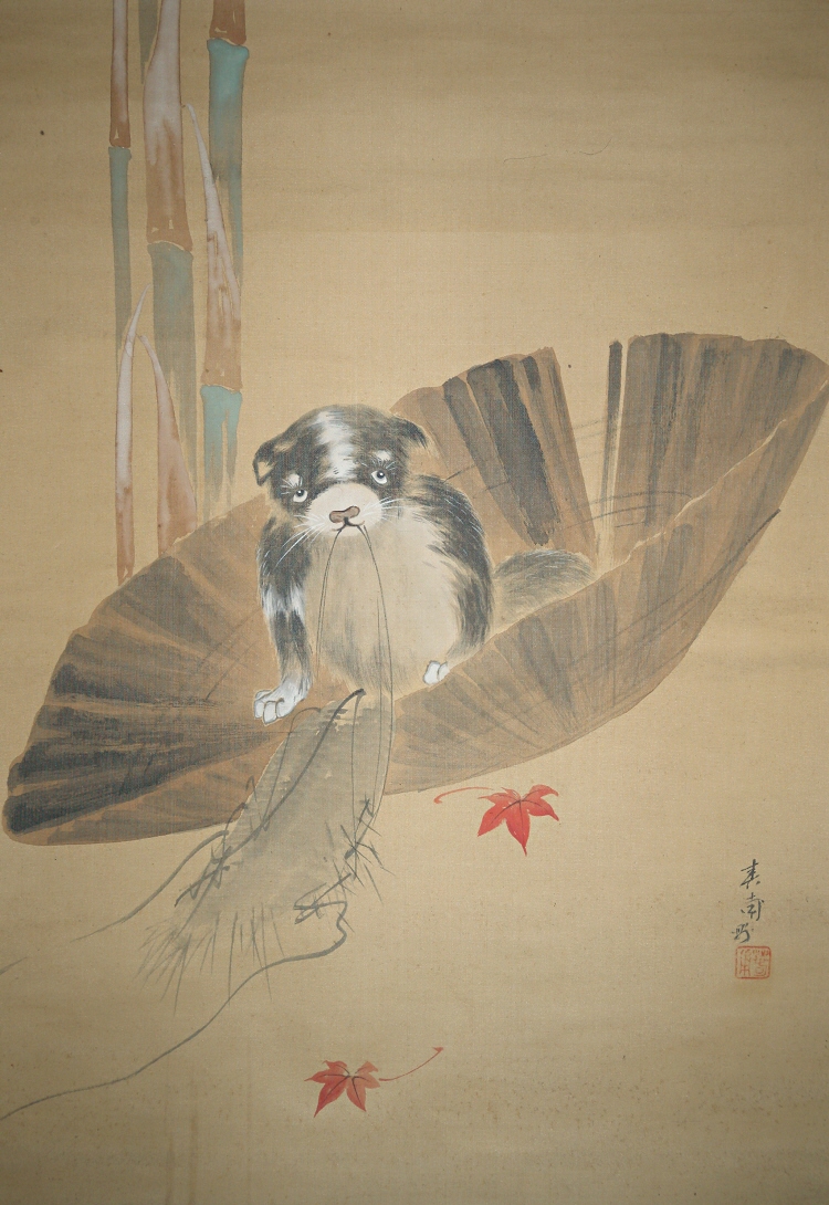 Whelp in a Ragged Sedge Hat