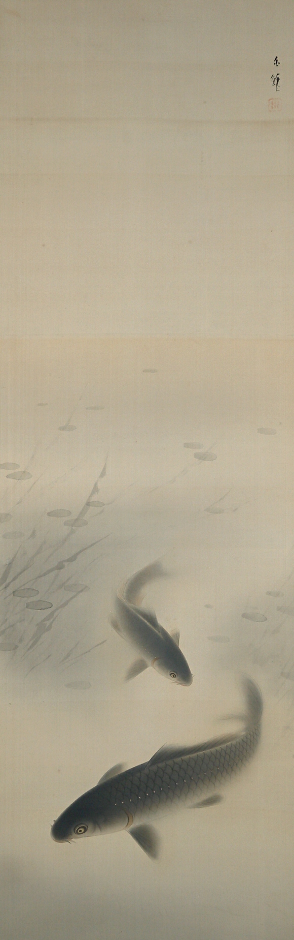 Yugoi (Swimming Carp)