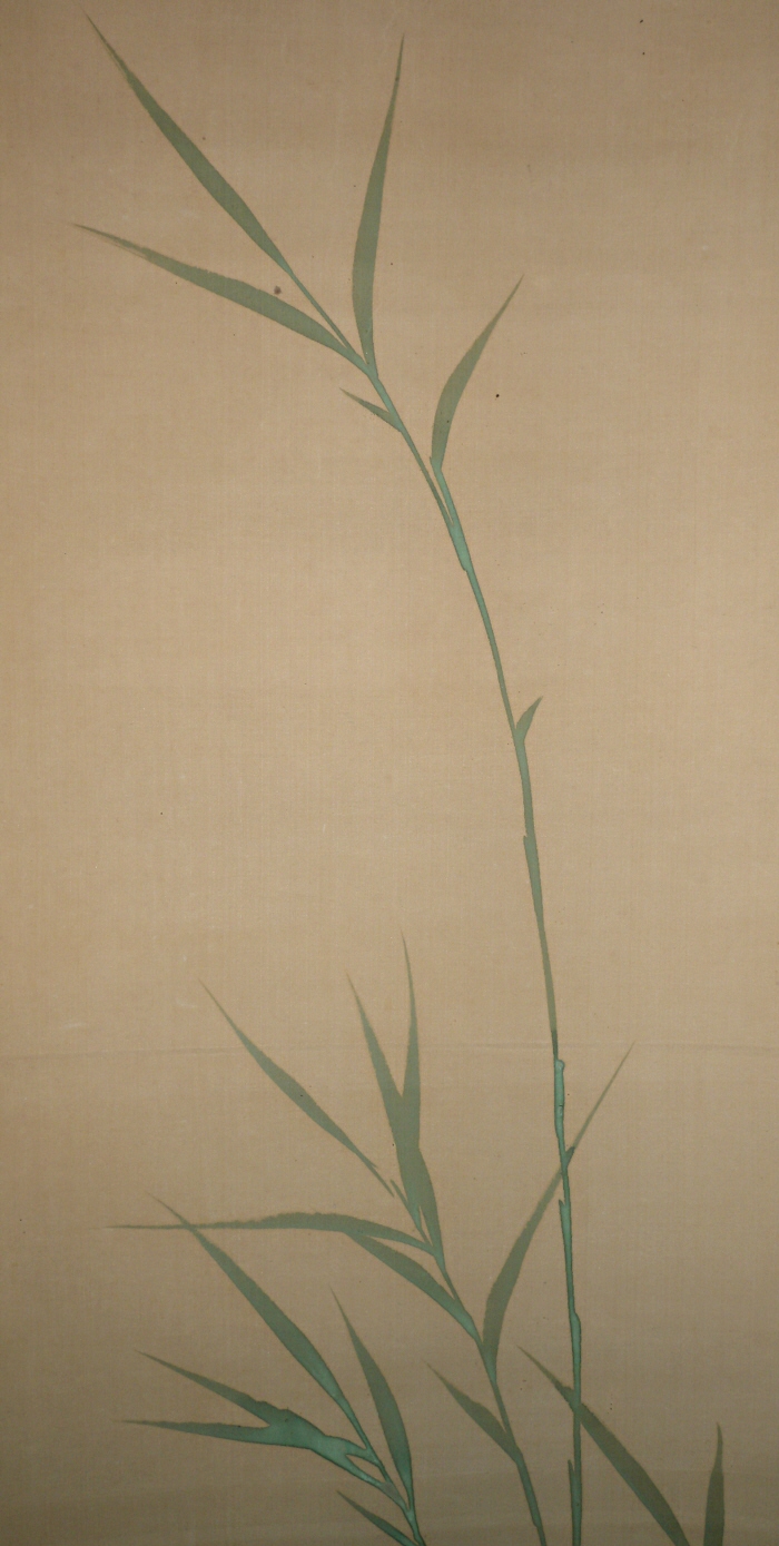 Ashi (Reed Grass)