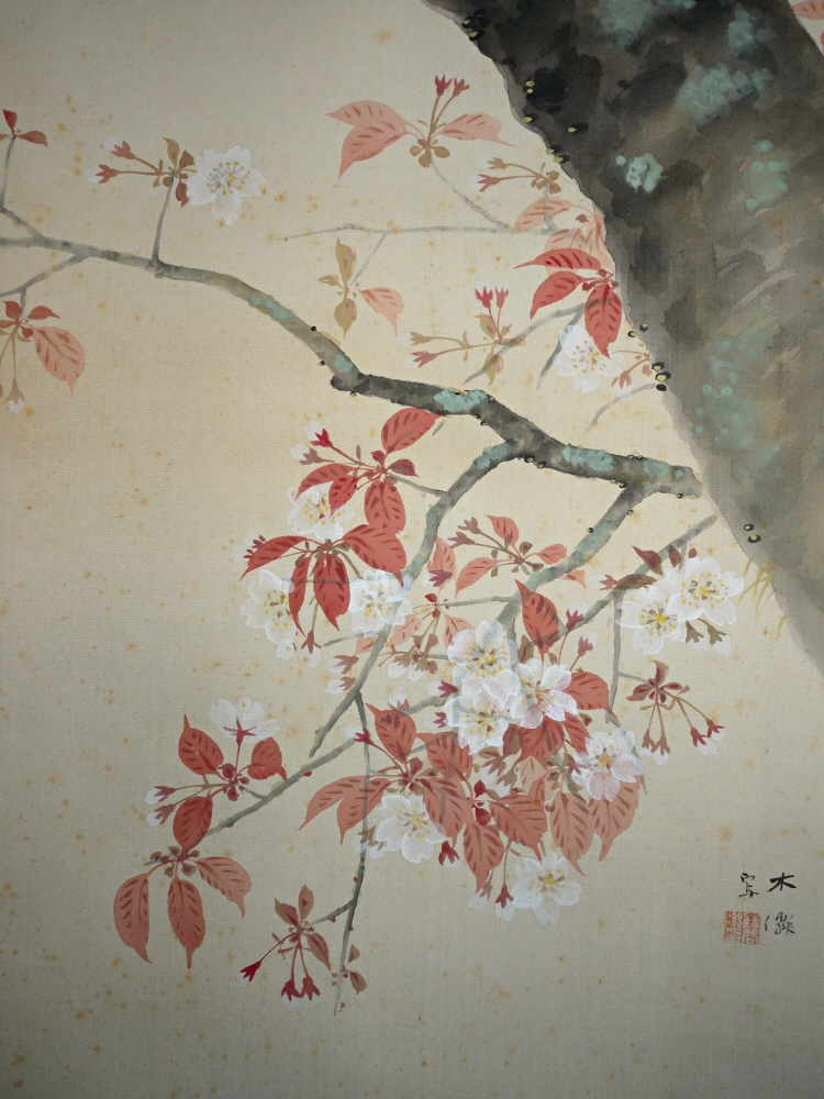 Sakura Flowers (Japanese Cherry Blossoms)