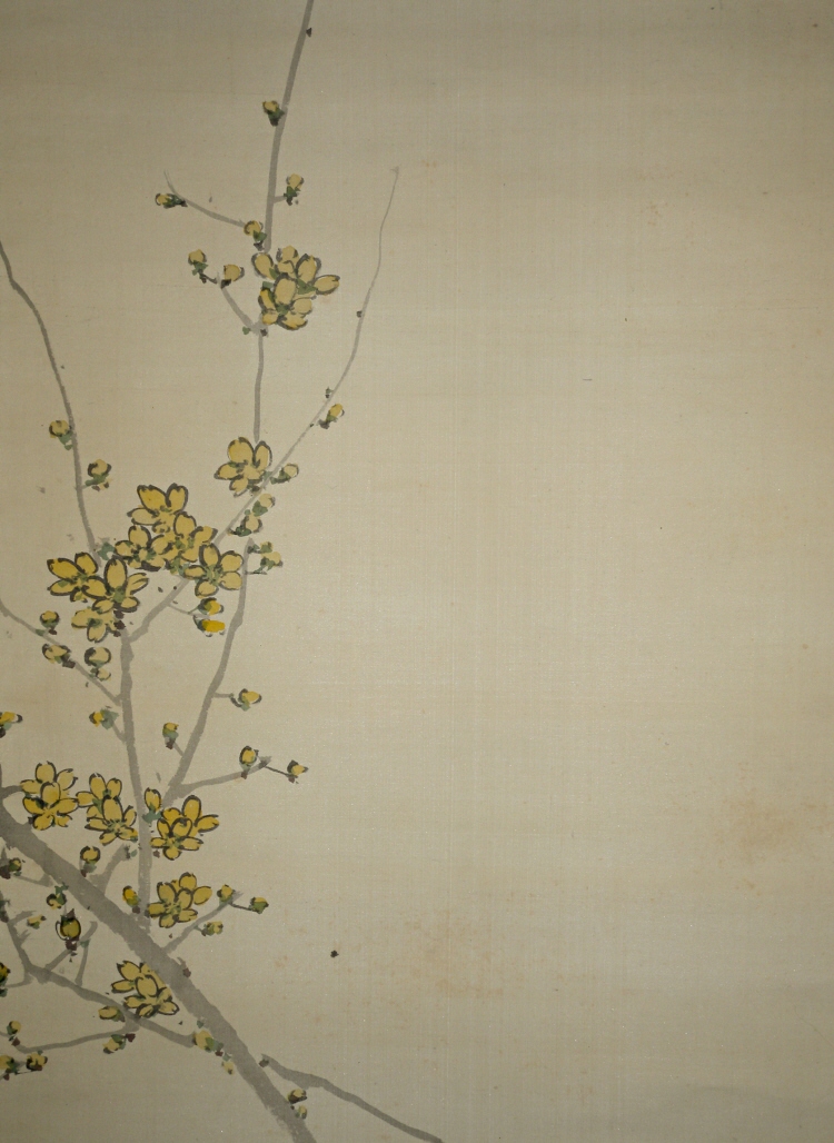 Japanese Yellow Apricot (Plum) Blossoms